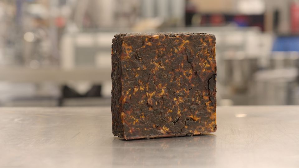 Det ligner almindelig belægning, men bindemidlet kommer fra svampens rodnet