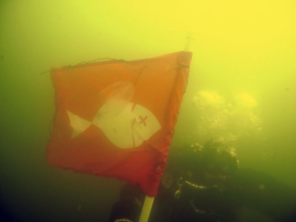 Iltsvind breder sig før ventet toppunkt – Greenpeace efterlyser højere tempo i kvælstofindsatsen