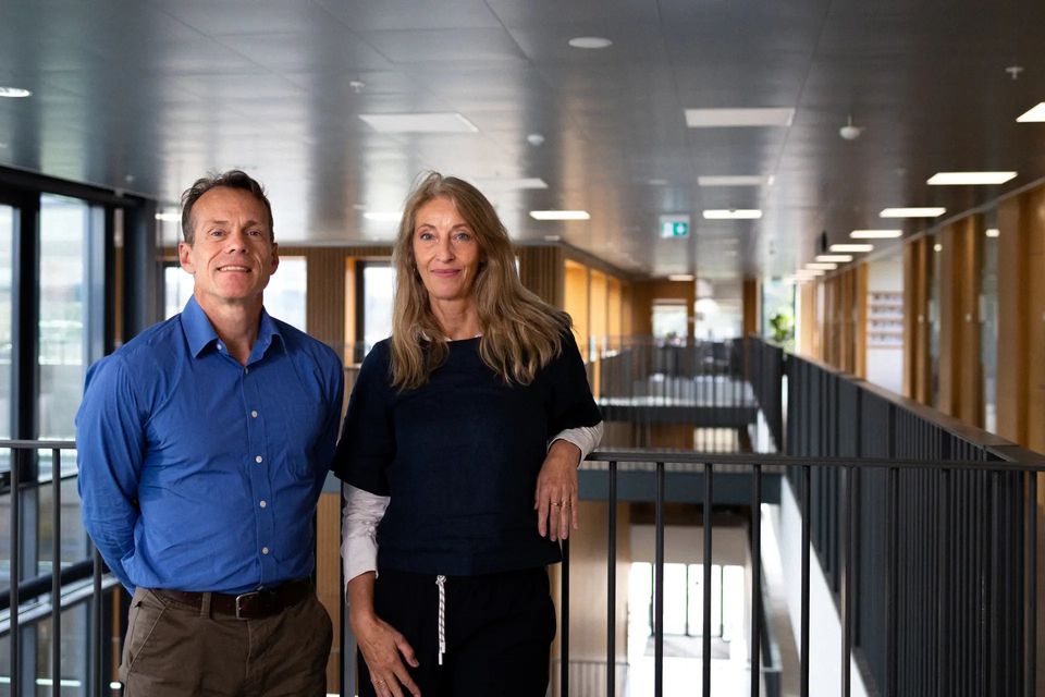 50 millioner skal give svar på milliardinvesteringer i dansk natur
