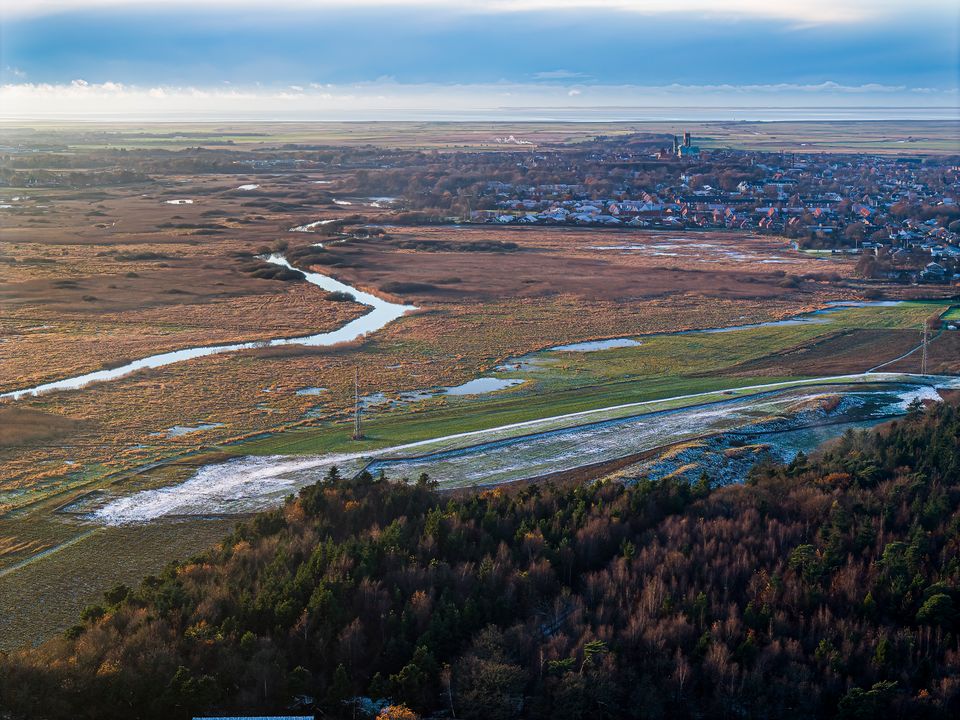 Store naturprojekter på vej: Landskabet omkring Ribe kan blive markant forandret