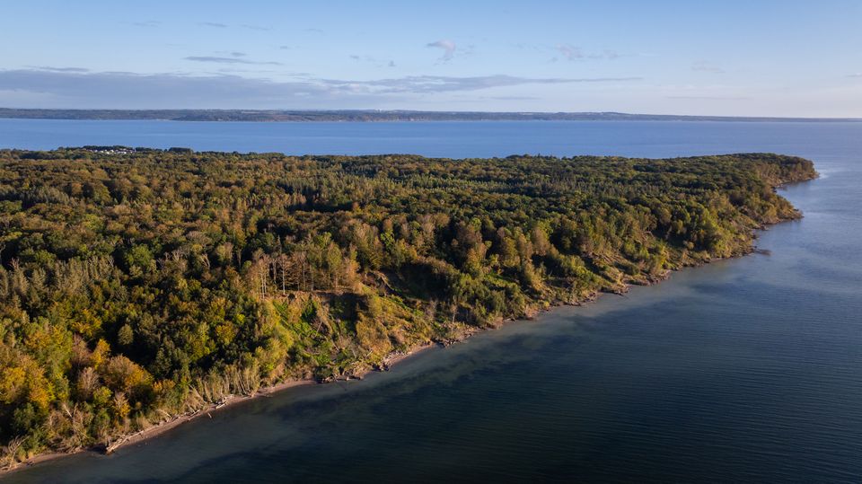 BAUHAUS giver ét øre pr. Dankortbetaling til mere vild natur