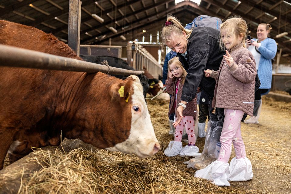 59 gårde åbner stalddørene: Sidste år kom knap 95.000 besøgende