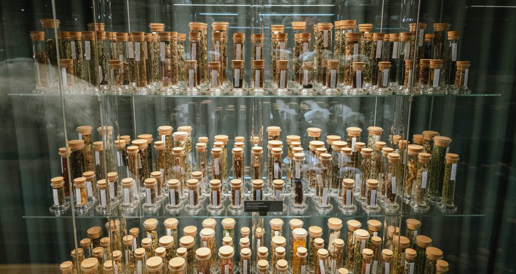 6,8 mio. kr. skal finansiere Danmarks første laboratorium for DNA fra museumssamlinger