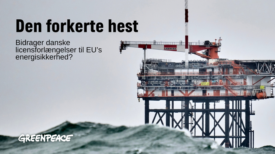 Greenpeace-analyse: Ekstra dansk gas vil dække under en halv procent af EU’s behov
